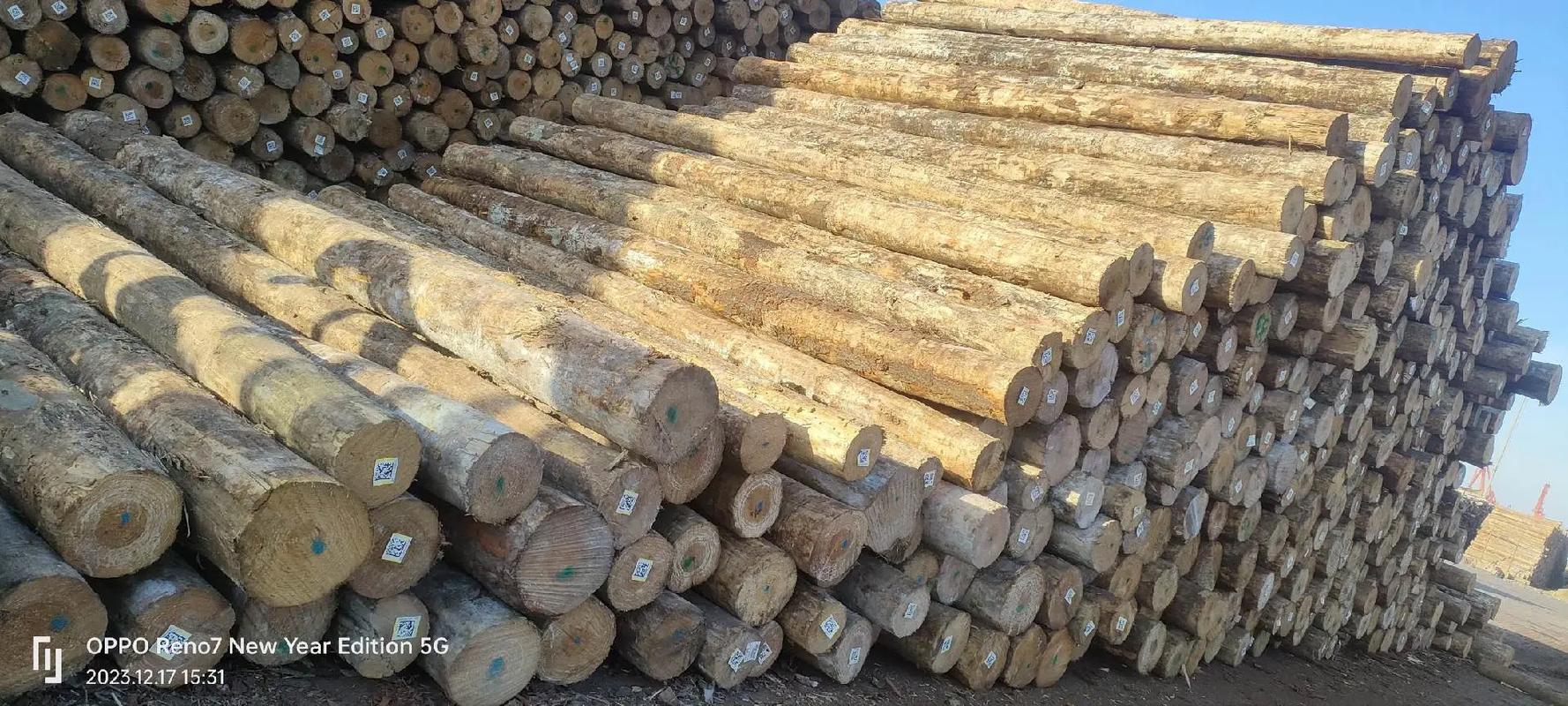 木材加工厂 #木托盘 #包装箱 #旋切 #进口木材 1